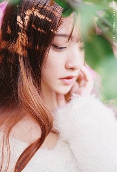 关于穷极一生 钟情一人的优美句子