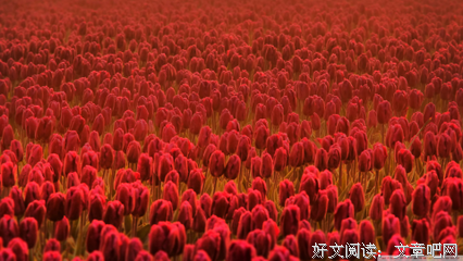 关于触动的句子