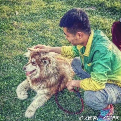 孤默句子