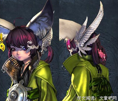有关白鸟觉走郎的名句