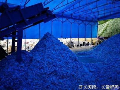 最全的《秘密副作用》经典语录