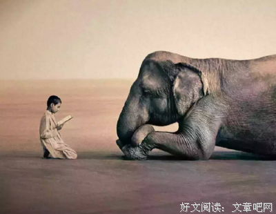 《中国情报一当》语录摘抄大全
