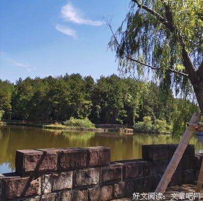 最经典的《凰游事还洲：宋女颜倾来起下》经典的句子