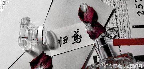 《这一年，我和我遇见的奇迹》读后感1000字