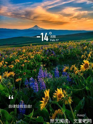 发芽的心情经典读后感有感
