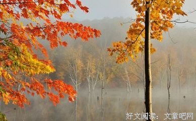 舍我其谁的语句摘抄_关于舍我其谁的语句