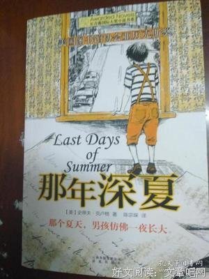 《那年深夏》读后感锦集