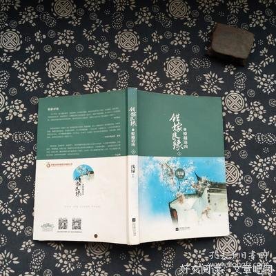 《错嫁良缘5燎越追凶》读后感精选