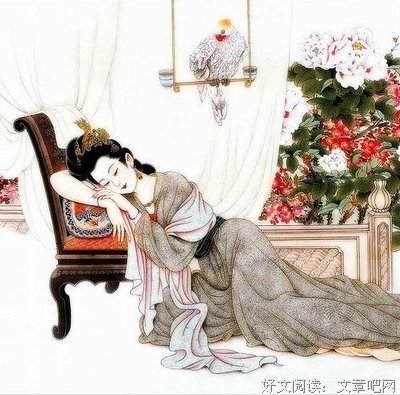 《一剪梅花梦》读后感锦集