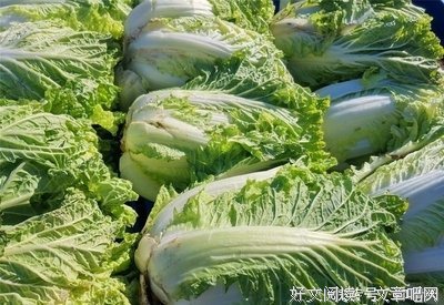 关于天寒地冻名言名句