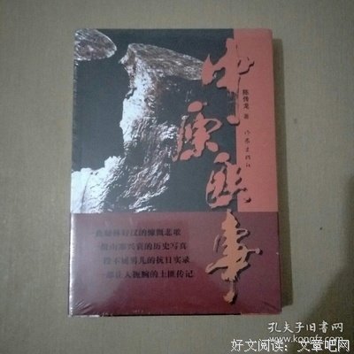 《中原匪事》读后感100字