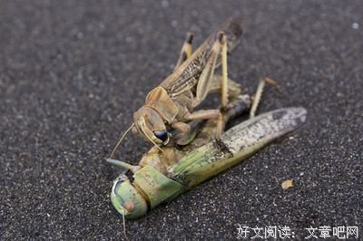 《灰故事》的读后感大全