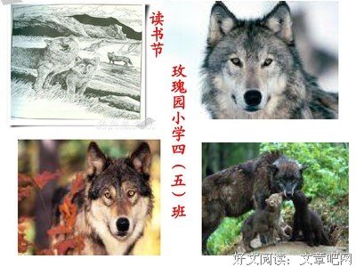 梦二画集·夏之卷读后感锦集