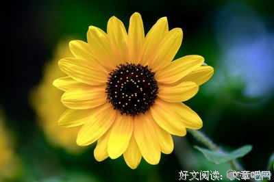 描写天真烂漫的语句摘抄