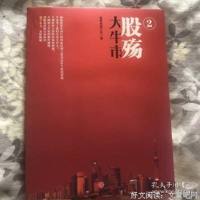 《大牛市·股殇》读后感摘抄
