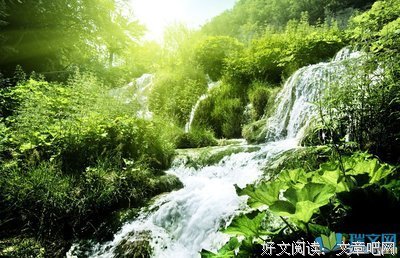 关于迷茫的名句摘抄