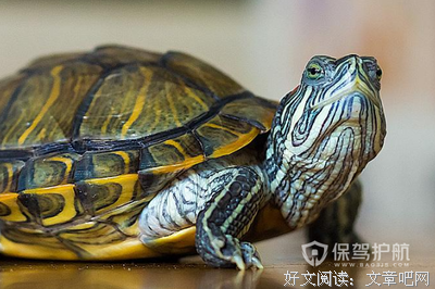 《禁忌关系》经典观后感集