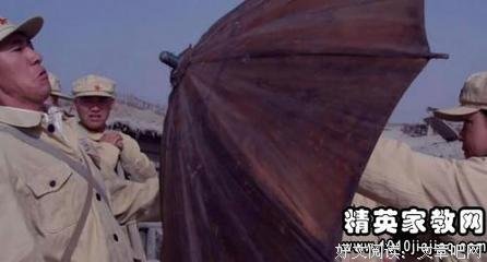 《我的处女地》的观后感大全