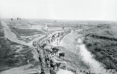 《大后方》的影评大全