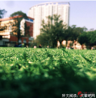 搁浅时光句子