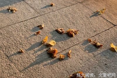 《春秋情--飘香》的句子