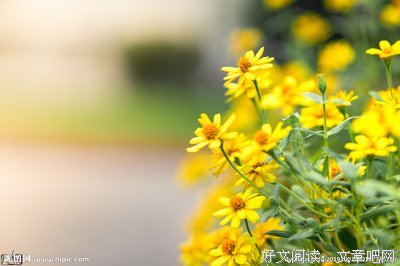 有关暖光i的句子
