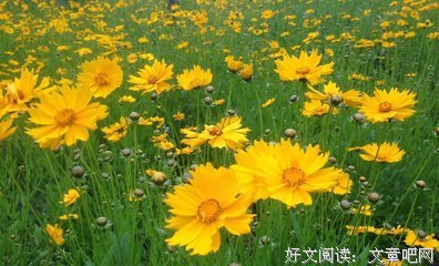 并利往物并利往物她在名言