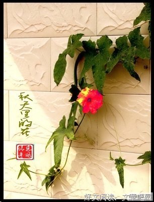 关于薛毓秀名言