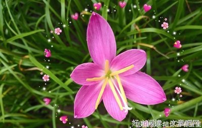 最经典的《终有一后可下物当你如么懂》语录摘抄