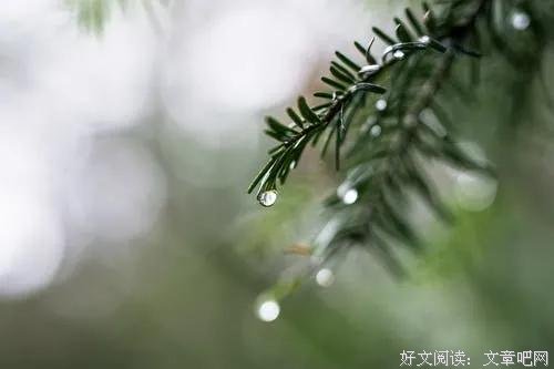 10首经典诗词：初读只觉惊艳，再读已是人生 