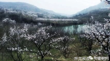 《死亡哲学十二讲》的读后感大全