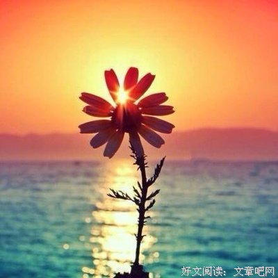 姑娘，愿你温柔又美好读后感摘抄