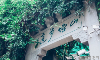 将军胡同读后感100字