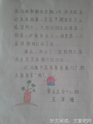 袋鼠蹦蹦·树精灵（王一梅暖心童话系列）读后感摘抄