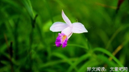 关于自然而然的座右铭