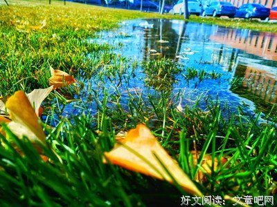 《星期三的神明》读后感锦集