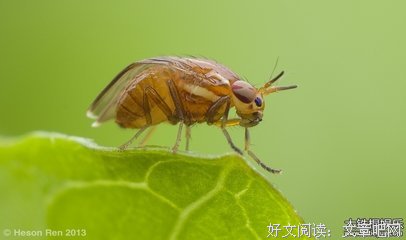 《自然法则》读后感摘抄