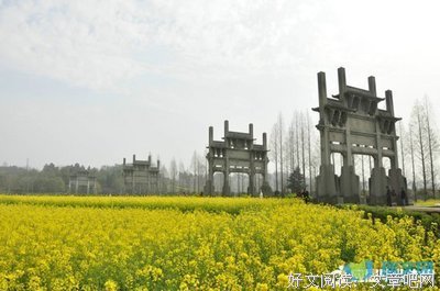 与生俱来的语句摘抄_关于与生俱来的语句