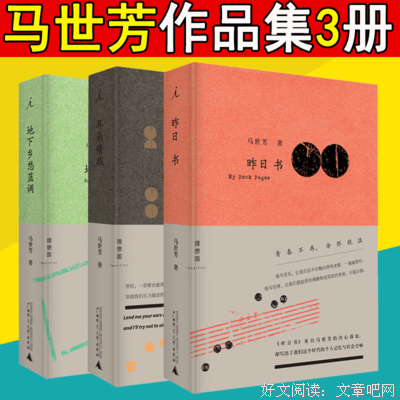 《地下乡愁蓝调》读后感100字