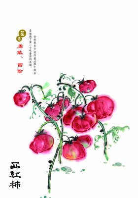 蔬之物语读后感1000字