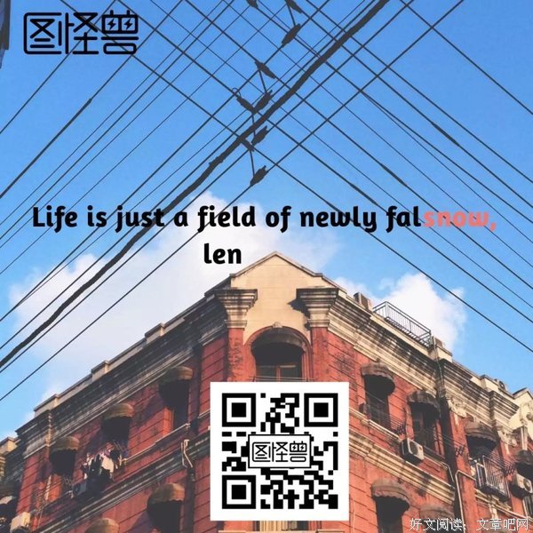 关于人生只若如初见的优美句子