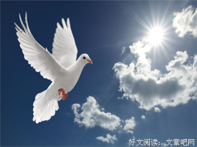 种出些触动心底的文字经典的句子