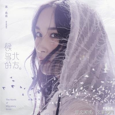 元上一可少女缘结之子句子大全