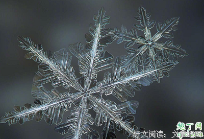纨绔世子妃优美的句子