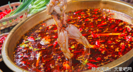 《一花，一叶》的句子