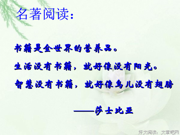 关于情你家独白名言大全
