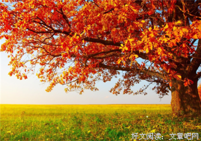 描写说白了的经典句子