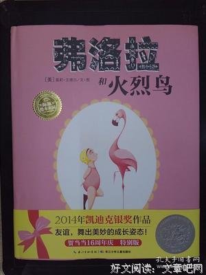 《弗洛拉和火烈鸟》读后感100字