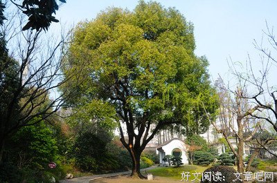 《时情化忆》读后感锦集