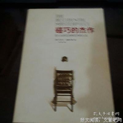 《碰巧的杰作》读后感摘抄